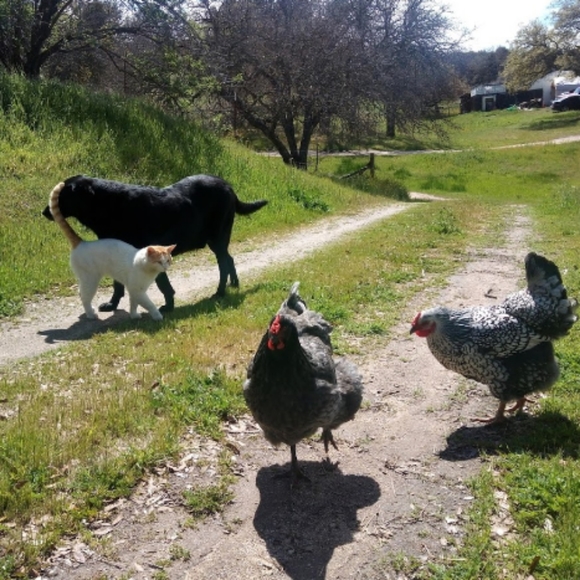 Meet your Posher, Heather - Picture 4 of 8